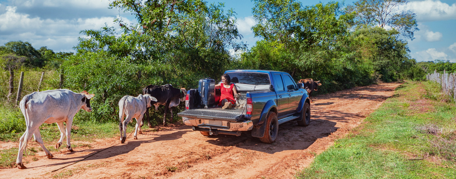 Deine Perspektive –&nbsp;Der Chaco ist das Agrarparadies mit den ertragreichsten Böden Paraguays